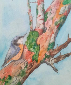 Chèque énergie 2025